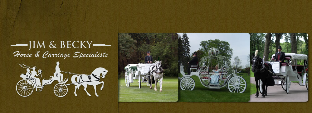 Jim & Becky's Horse and Carriage Service of Peotone, IL