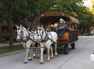 Hay Ride-Fall Fest Martin Ave