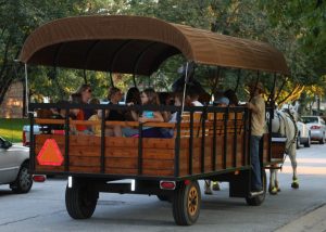 Hay Ride Leaving