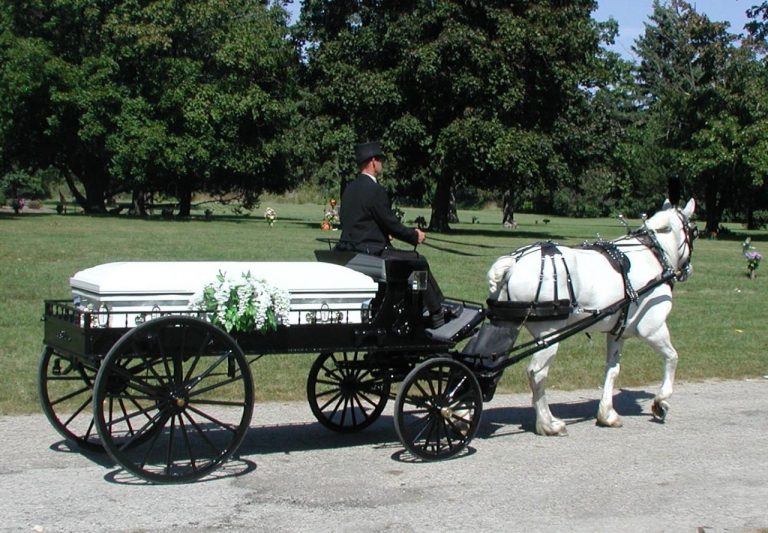 Funerals Horse Drawn Hearses Jim & Becky's Horse and Carriage
