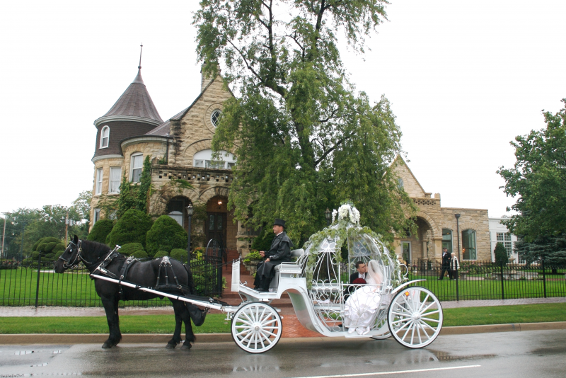 Cinderella Pumpkin Coach – Jim & Becky's Horse and Carriage Service of  Peotone, IL